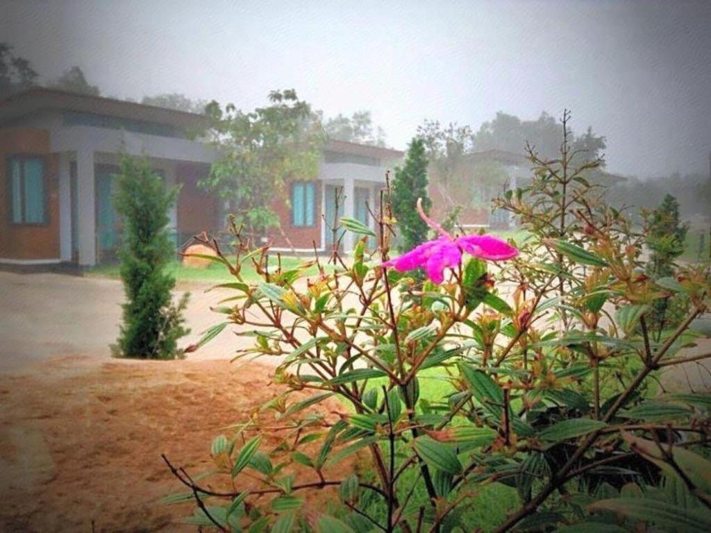 Nutchana Hill Boutique Hotel Хат Яй Екстериор снимка